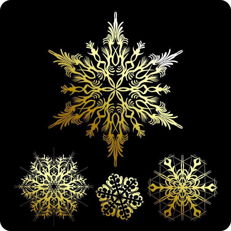 free vector Beautiful snowflake pattern 01 vector